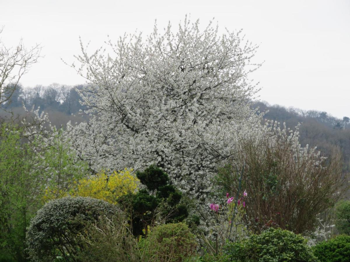 Ecrin De Verdure Sainte-Suzanne  Eksteriør bilde