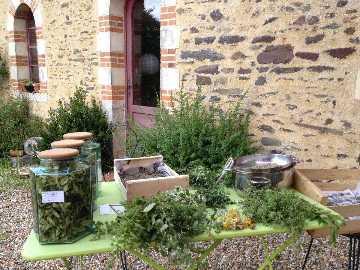 Ecrin De Verdure Sainte-Suzanne  Eksteriør bilde